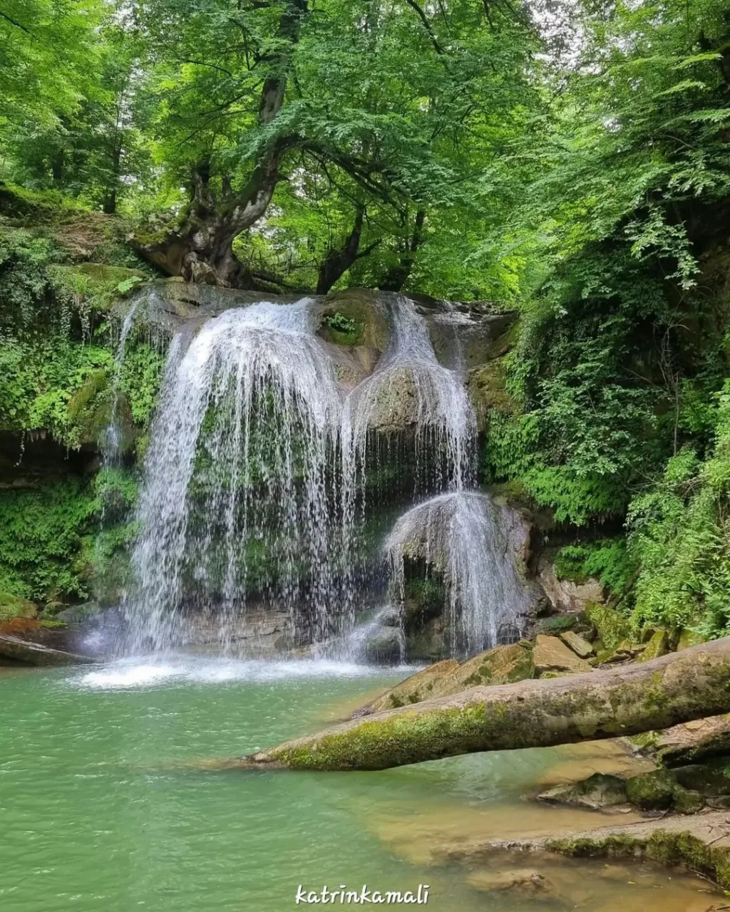 اجاره ویلا در مازندران؛ ویلای ساحلی بهتر است یا جنگلی؟